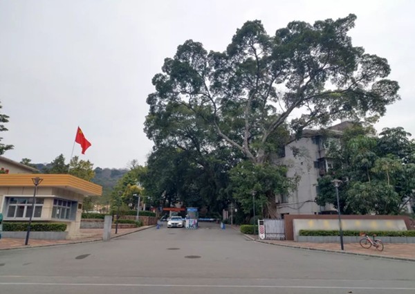 【MAX】&廣州市醫(yī)院